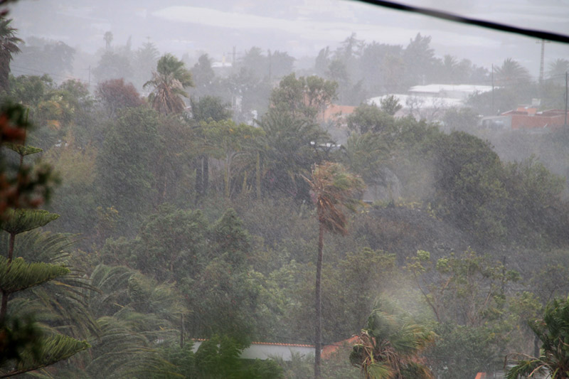 Selten genug, Regen auf der Westseite La Palmas im August