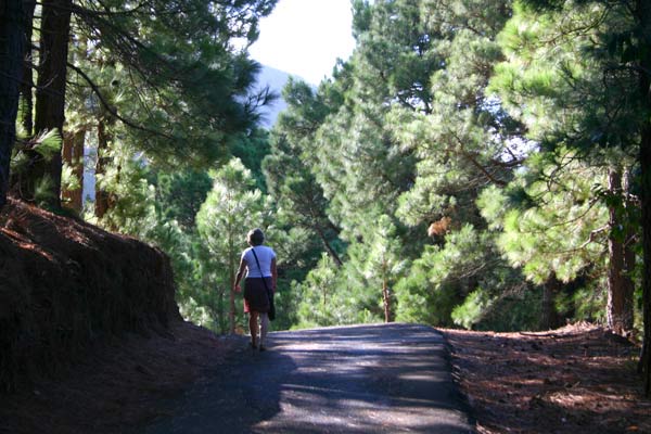 Wandern auf La Palma