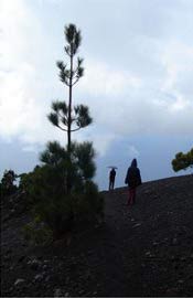 Erster Umweltphotowettbewerb auf La Palma