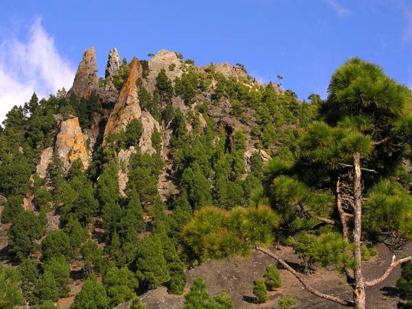Die Felsformation Los Campanarios, oberhalb Jedeys
