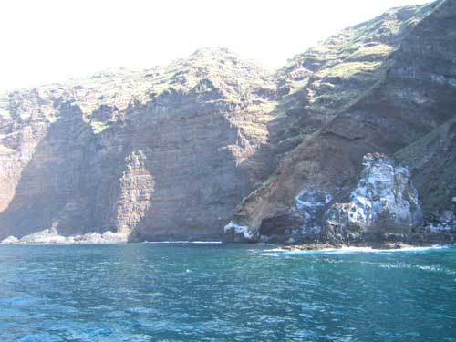 Delfinfahrt vor der Küste La Palmas
