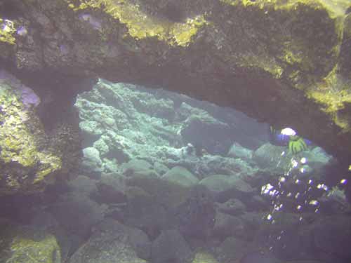 La Palma unter Wasser