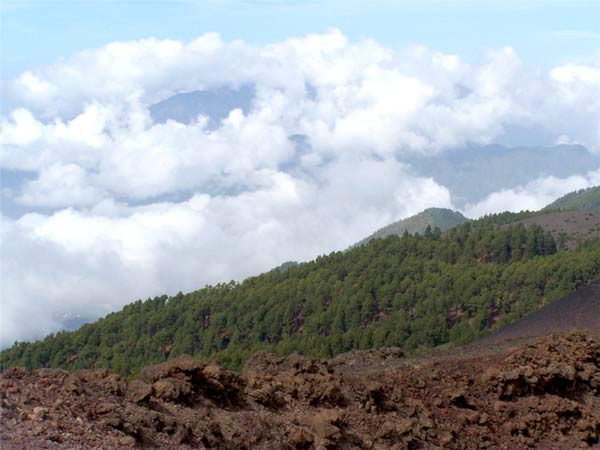 Die berühmte Vulkantour auf La Palma