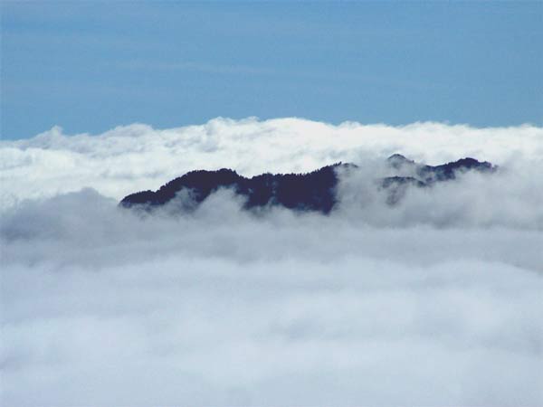 Jutta Eichner, vom Pico de La Nieve nach Virgen de El Pino auf La Palma