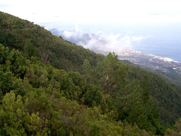Jutta Eichner, vom Pico de La Nieve nach Virgen de El Pino auf La Palma