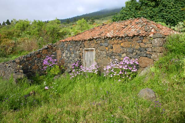 Alte Häuser auf La Palma