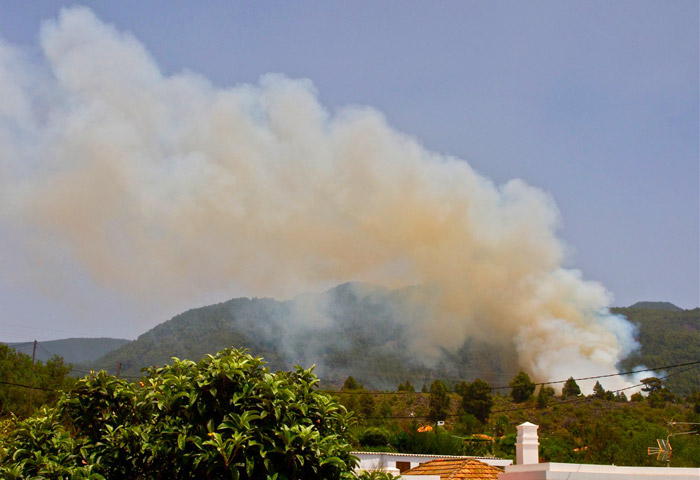 Feuer in Tacande, El Paso, La Palma, am 15.5.2012