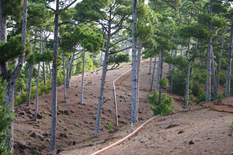 Druckwasserleitung zur Brandbekämpfung im Wald bei Puntagorda