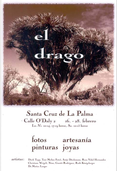 Photoausstellung zum Drachenbaum auf La Palma