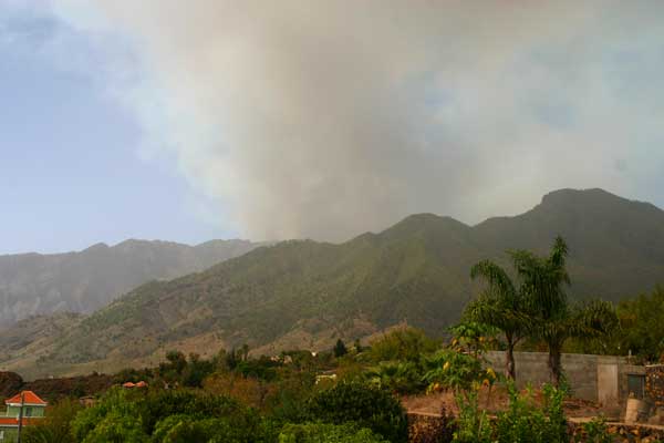 Waldbrand im Norden La Palmas 17:00 Uhr