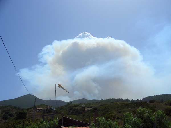 Waldbrand auf La Palma 6.9.05